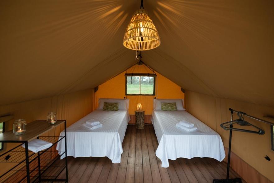 Hostal La Salut De Terrades エクステリア 写真